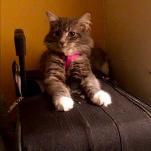 Meet your Posher, Nathalie